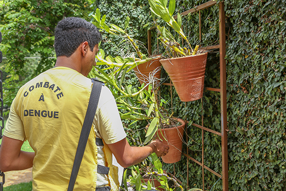 Falso agente da dengue entra em residência e furta celular de aposentada em Caraguatatuba