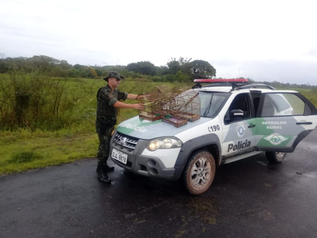 Polícia Ambiental apreende aves em cativeiro em duas casas em Caraguatatuba