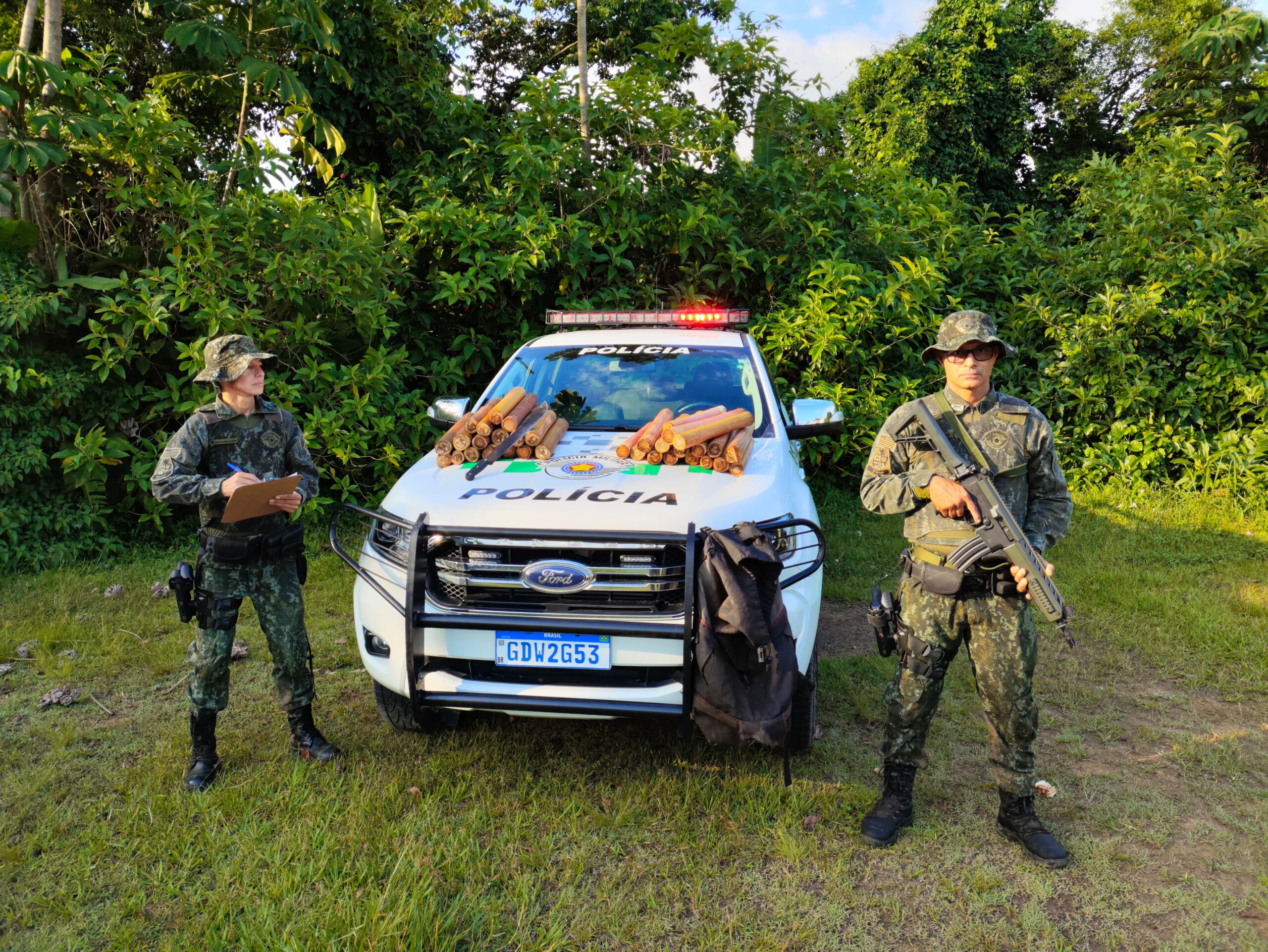 Polícia Ambiental flagra homem extraindo palmitos no Parque Estadual da Serra do Mar; multa chega a R$ 36 mil