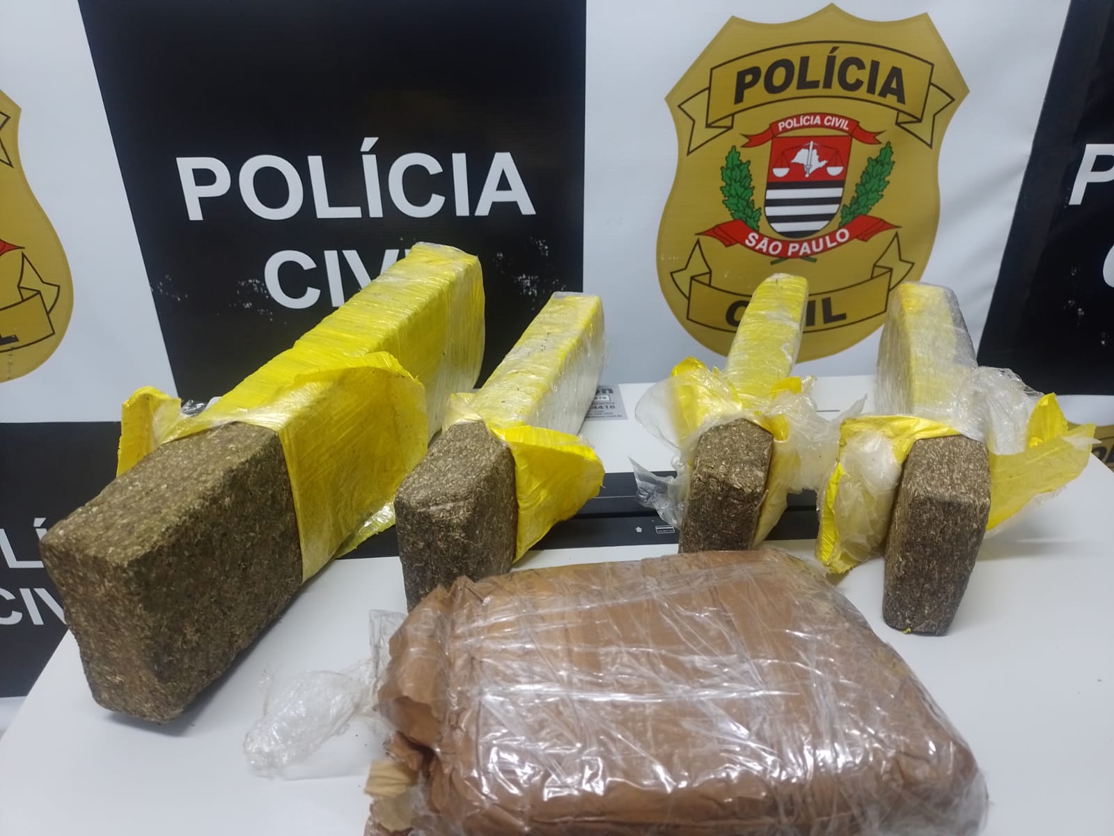 Dupla é presa com tijolos de maconha durante operação da Dise em Ilhabela