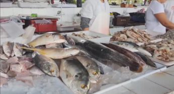 Mercado de Peixe de Ubatuba altera funcionamento no Domingo, 29