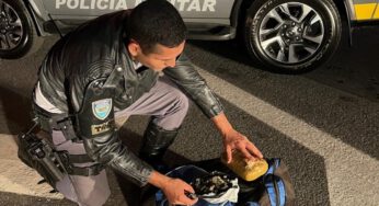 Polícia Rodoviária intecepta ônibus na Rodovia dos Tamoios e prende passageiro com drogas